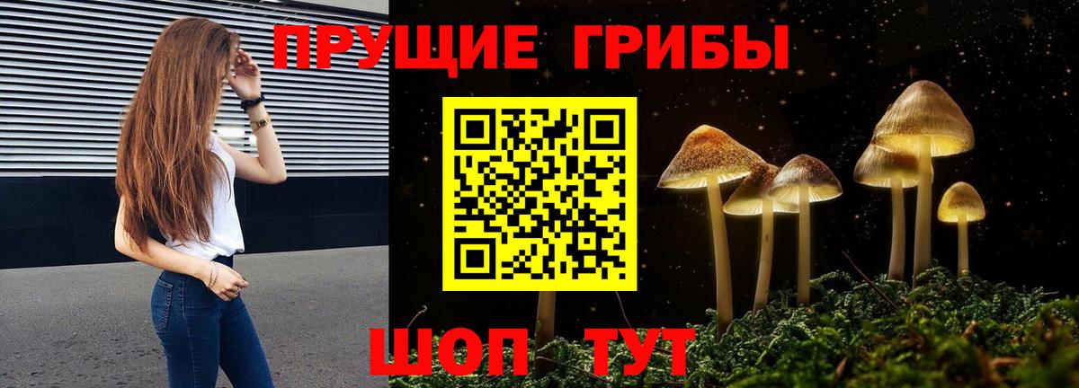 Новокубанск  Галлюциногенные грибы Magic Shrooms  Вход с VPN 