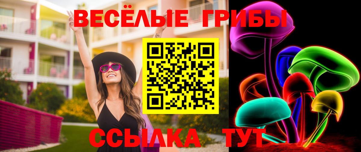 Галлюциногенные грибы MAGIC MUSHROOMS Новокубанск