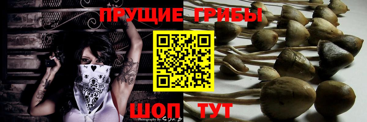 COCAIN  Вейп ТГК  Бошки Шишки  Меф МЯУ МЯУ кристаллы  ГАШИШ  Новокубанск  Вход с VPN 